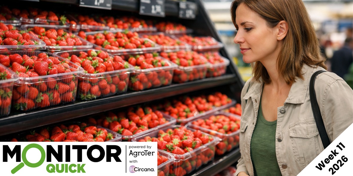 Fragole, brusco arresto dei volumi nella Gdo: -33% da inizio anno